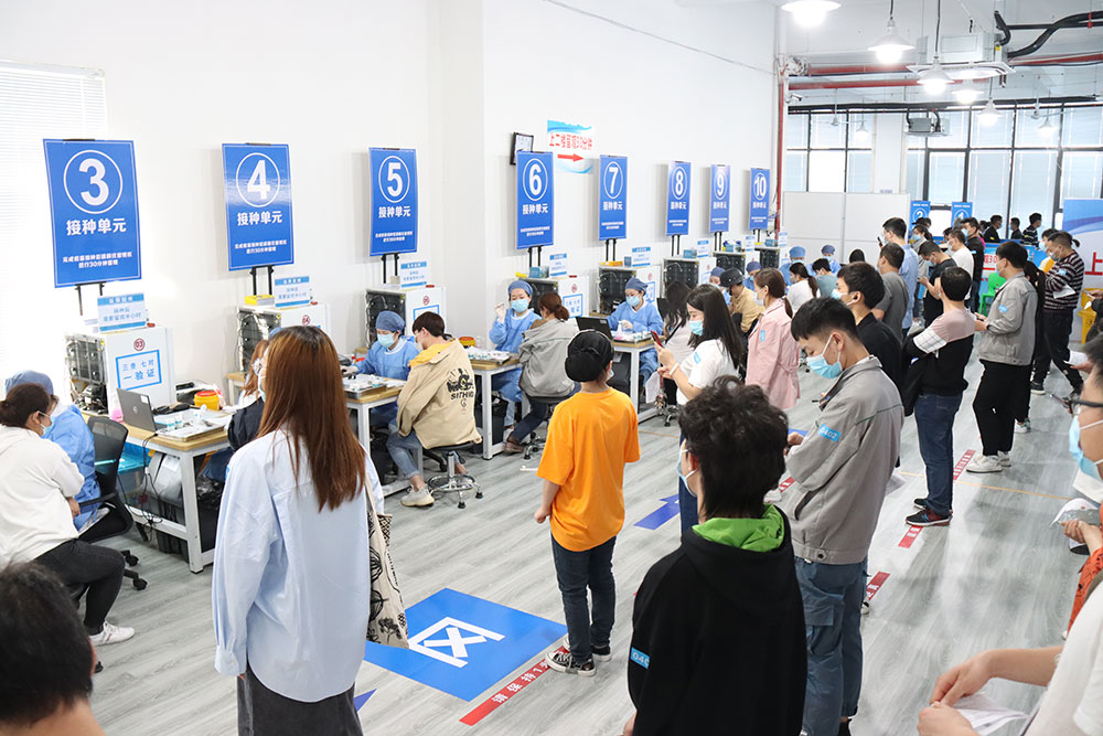 2025新澳门原料免费